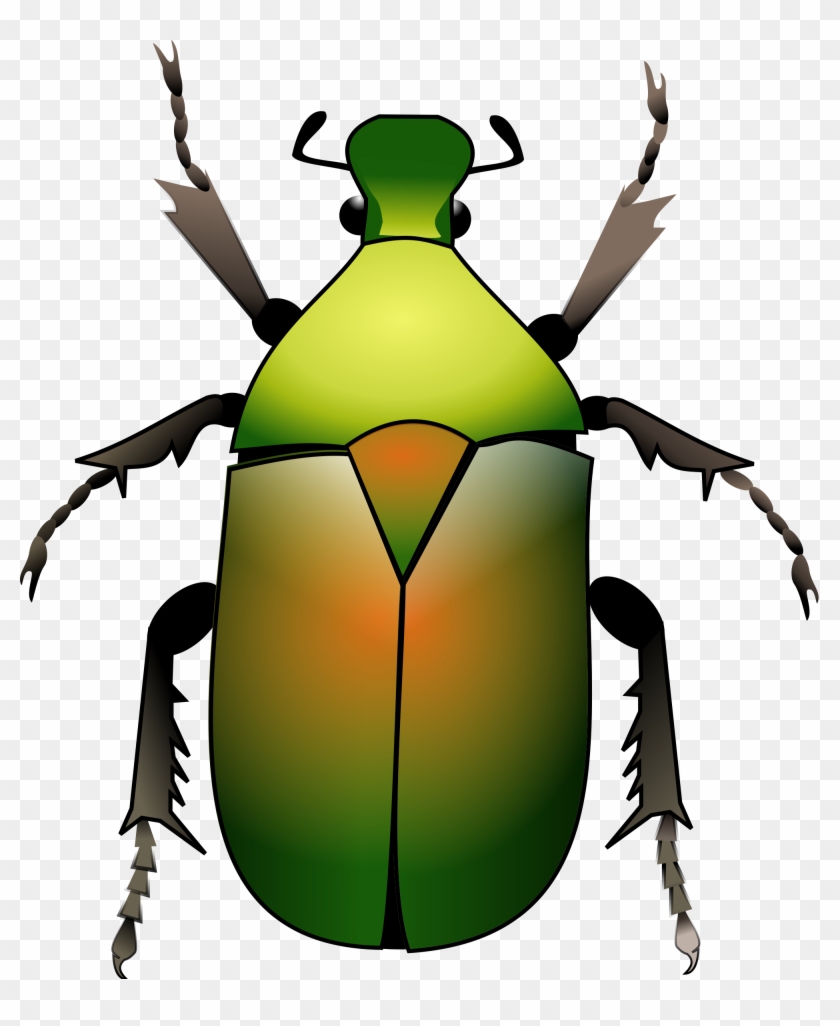 Open - Beetle Svg #549763