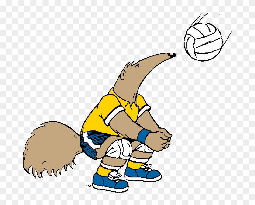 Anteater Playing Volleyball - Anteater Volleyball #550296