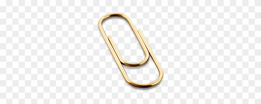 14k Gold Paper Clip - Carabiner #550526