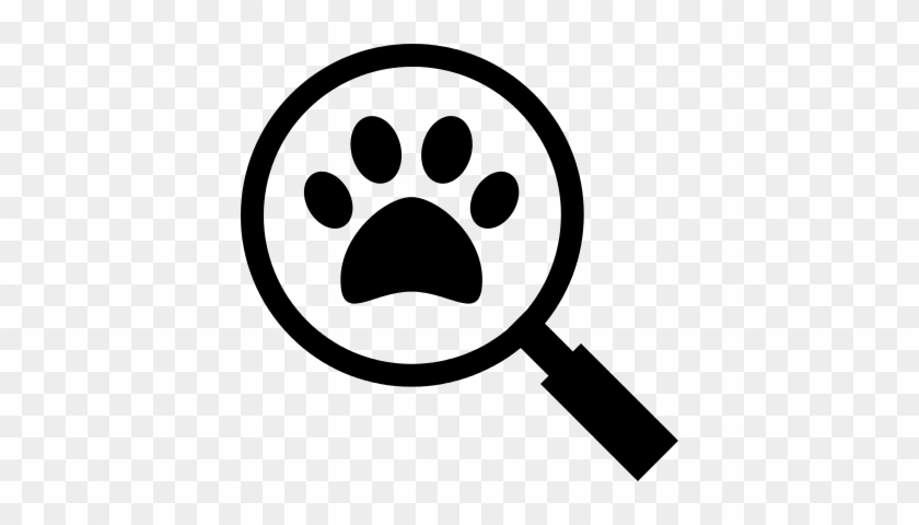 Footprint Magnifying Glass Icon #550860