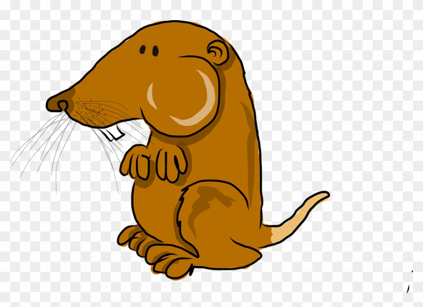 Cartoon Desert Animals - Pocket Gopher Cartoon #551309