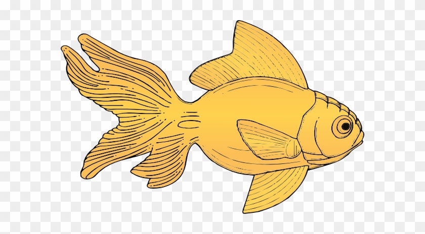 Goldfish Clip Art - Gold Fish Clipart #551313