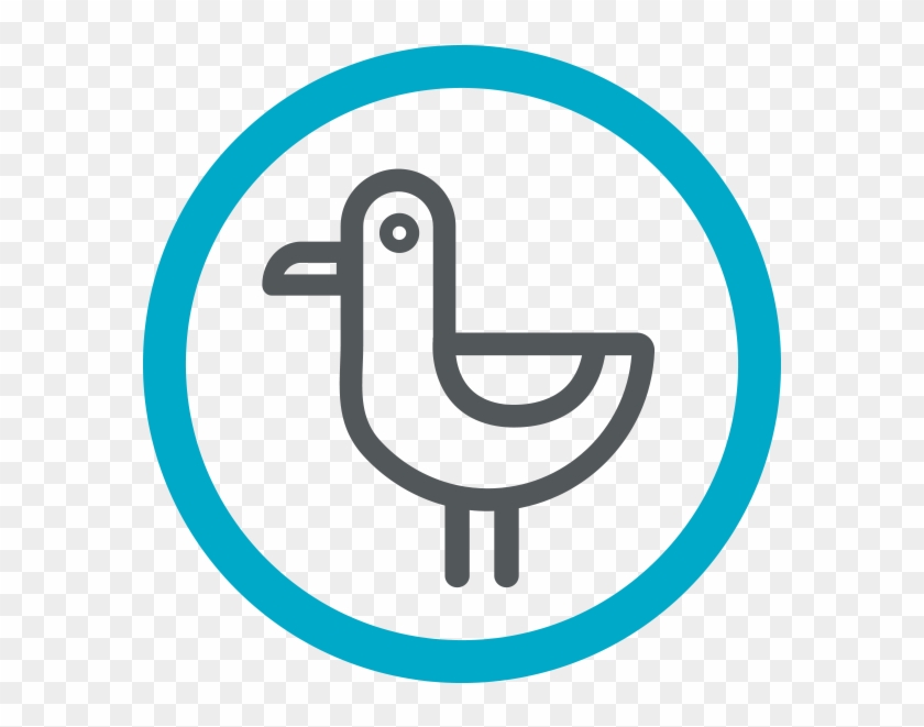 No Nonsense - Circle #551508