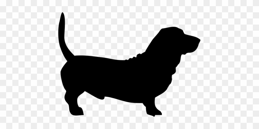 Dog Basset The Silhouette Animal A Friend - Basset Hound Dog Silhouette #551618