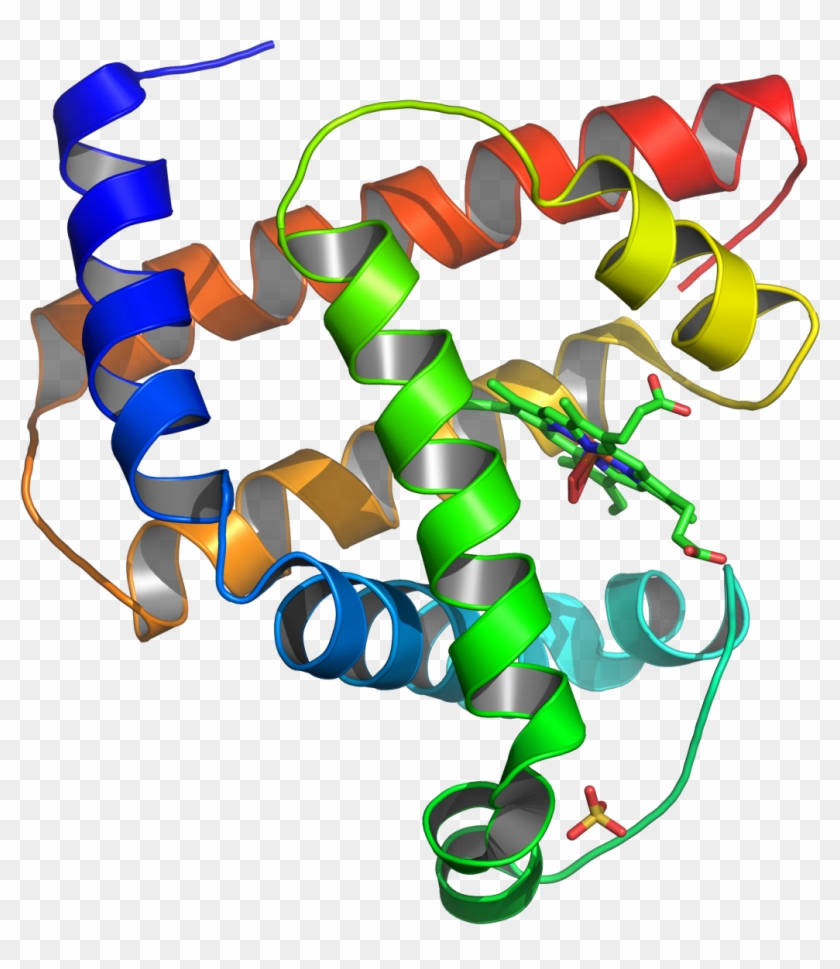 But Also Hormones And Enzymes That Regulate Other Factors - Do Proteins Look Like #551793