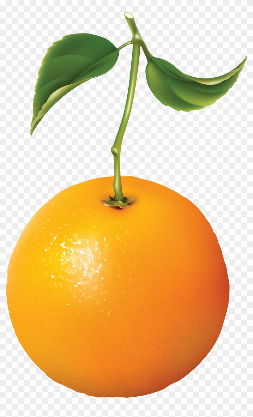 Orange - Oranges - Portable Network Graphics #552595