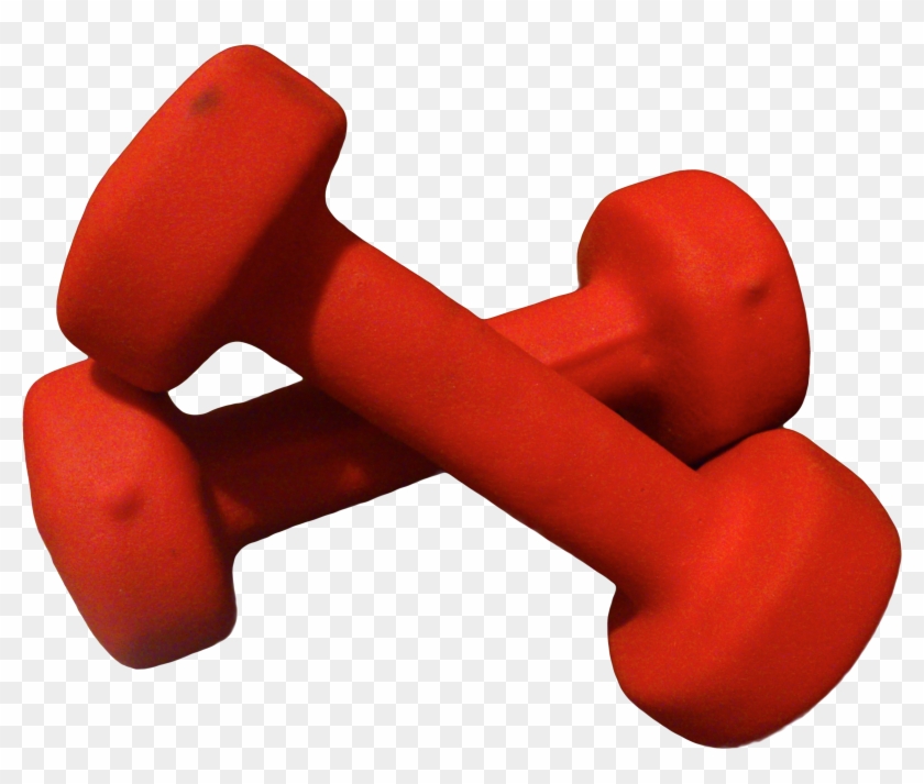 Dumbbells - Hand Weights #552619