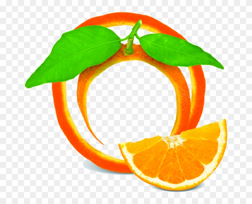 Fruit Frame - Orange Fruit Frame Png #552644