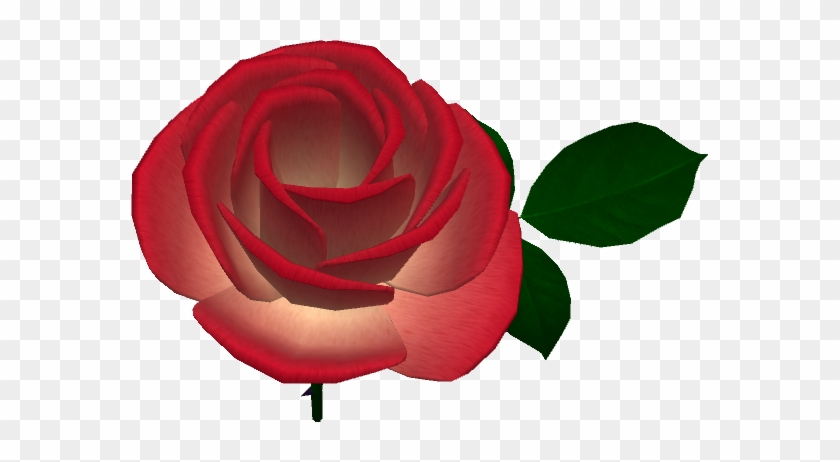 Caledon Oxbridge Village Red Rose 2018 - Garden Roses #552784