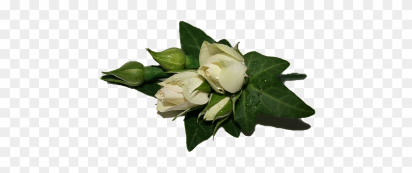 Picture Of Buttonholes - Rose Corsages For School Ball #552818