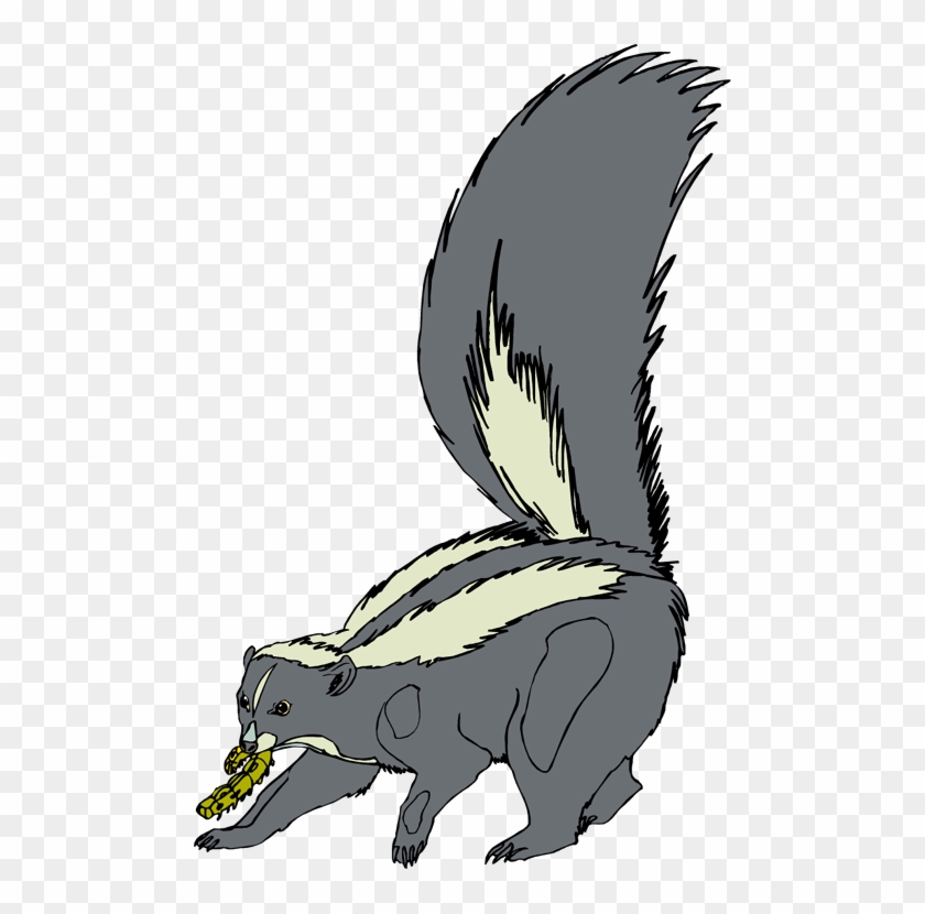 Skunk Clip Art - Skunks #553347