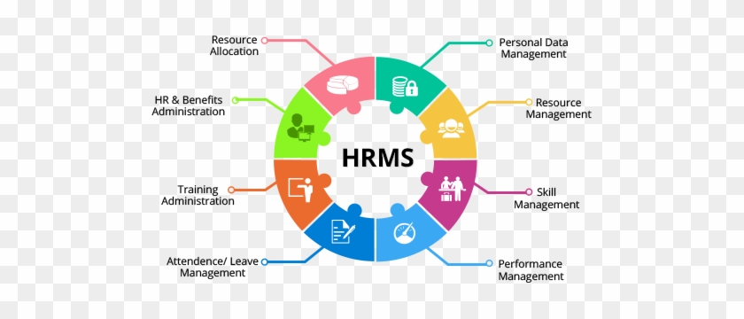 Human Resource Management System #553602