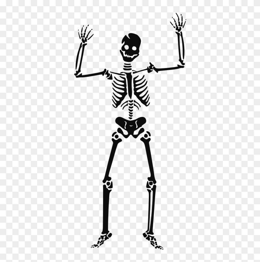 Skeleton Free Vector #554095