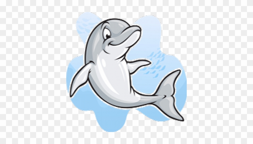 Dolphin Swim Club - Dolphin Cartoon #554183