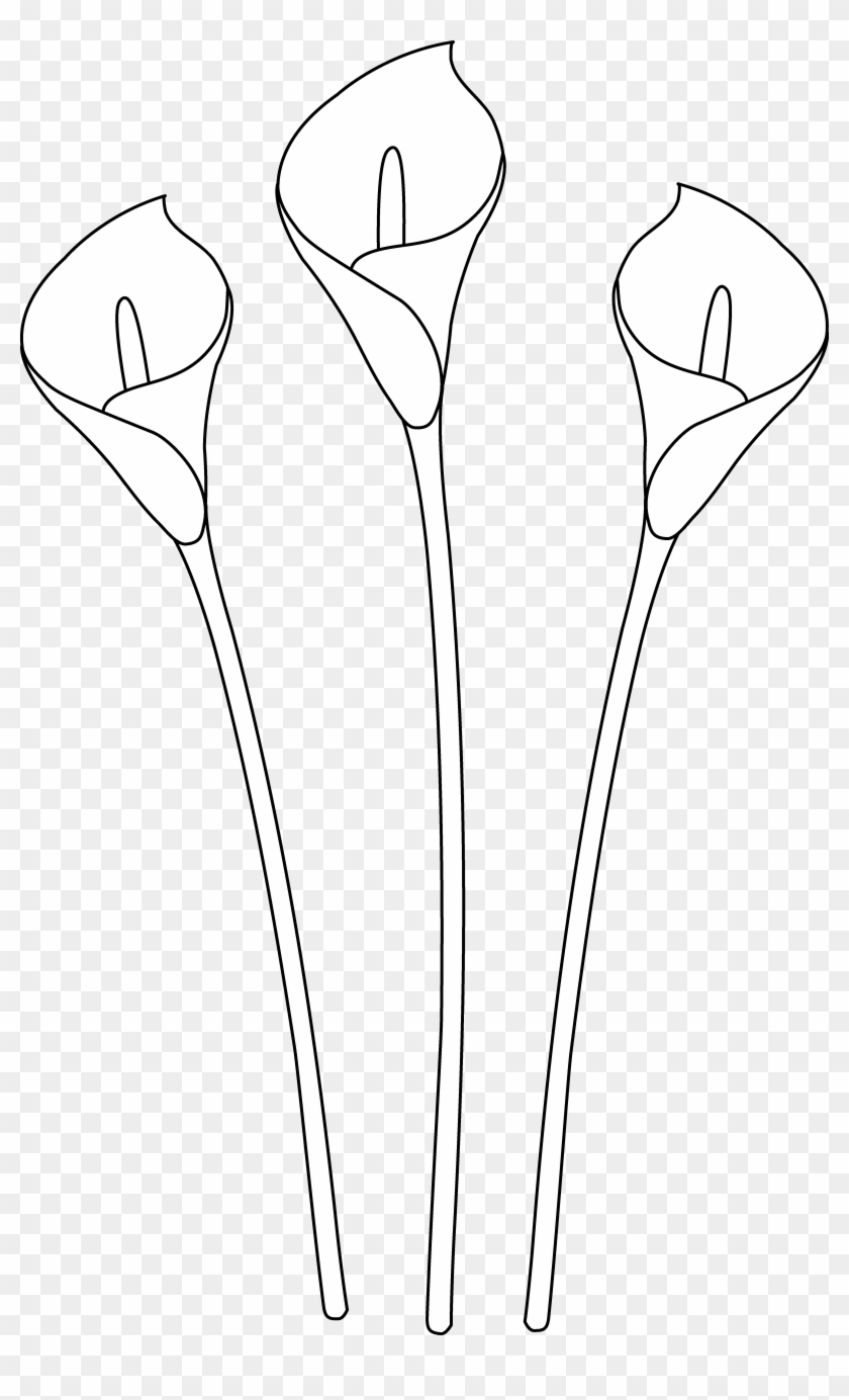 Calla Lilies Line Art - Monochrome #554463