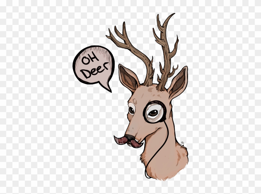 2 - Doe #554841