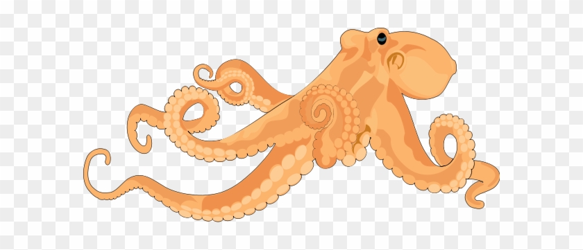 Octopus 02 Medium 600pixel Clipart, Vector Clip Art - Transparent Octopus Art #556256