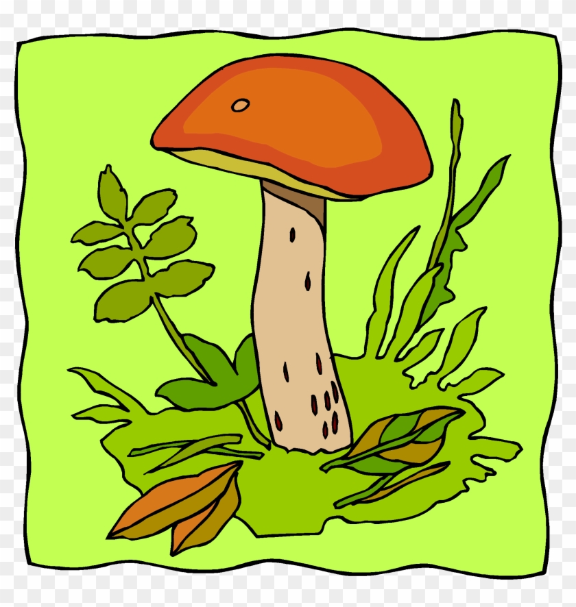 Mushrooms, Fungi, Bacteria - Edible Mushroom #556473