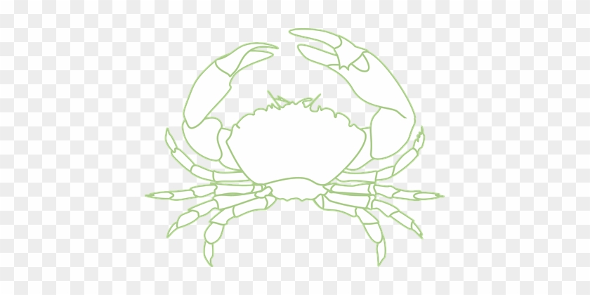 Crab Crustacean Sea Life Lobster Crayfish - Summary & Study Guide - The Emperor Of All Maladies: #556684