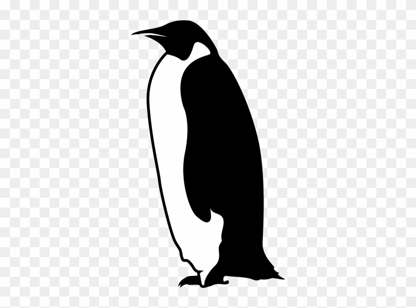Pinguino - Penguin #556778