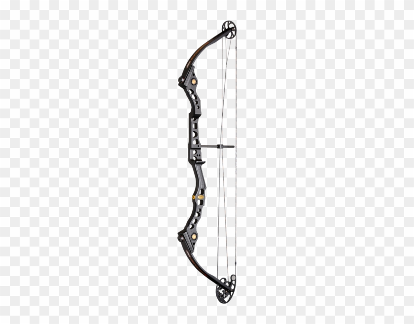 Quick View Mathews Conquest - Mathews Conquest 4 #557083