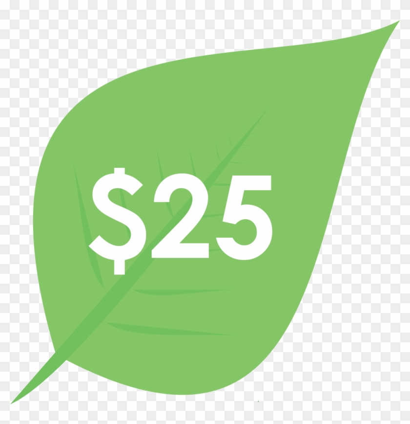 Donation $25 - Jnr #557365