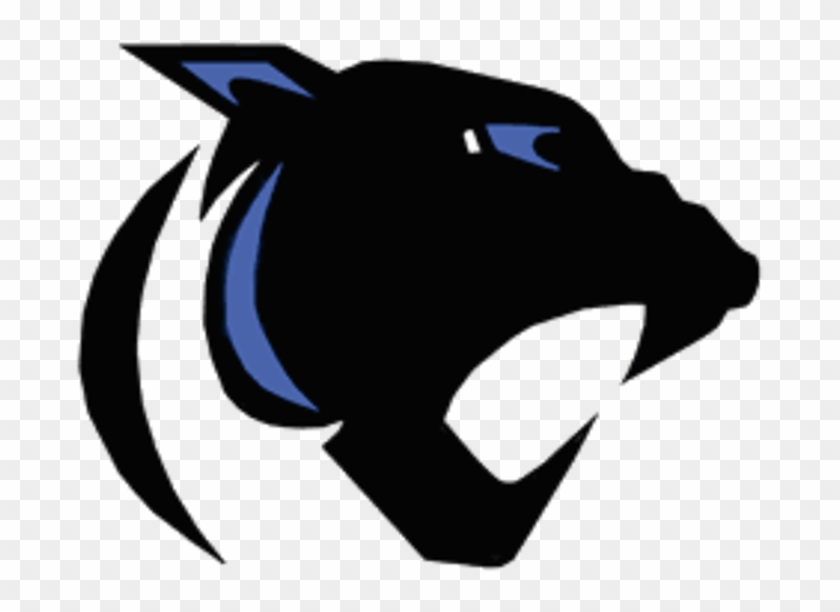 Croix Central Logo - St Croix Central Panthers #558900