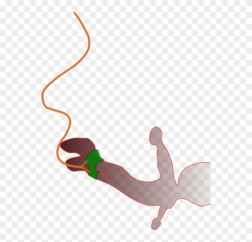 Clipart - Bungee Jump Png #559033