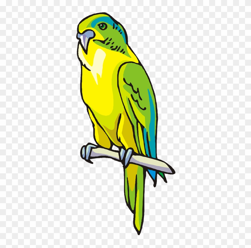 Yellow And Green Parrot - Parrot Clip Art Png #559355