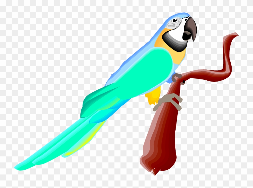 True Parrot #559397