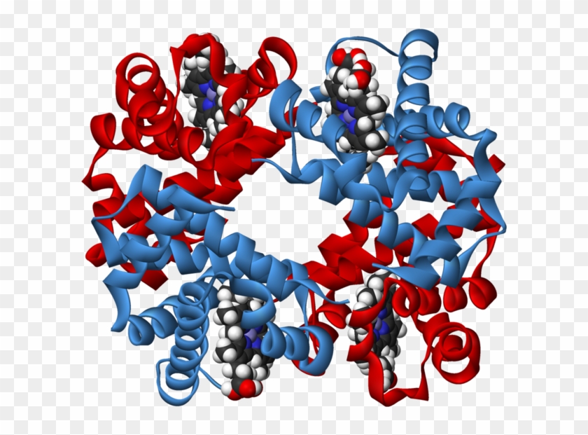 The Eighth Day Of Creation - Carbohydrates Polysaccharide 3d #559560