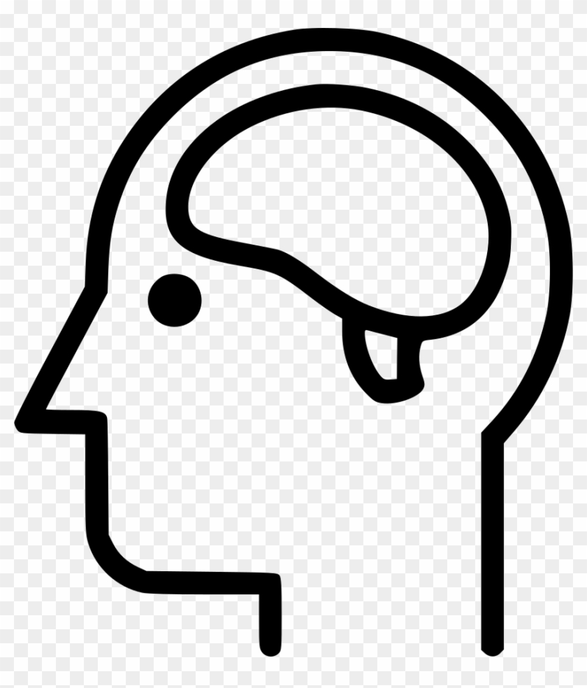 Brain Nervous System Mind Head Anatomy Comments - Nervous System #559803