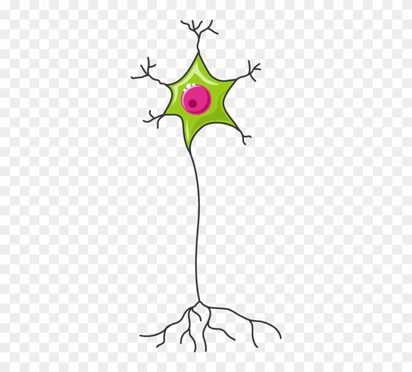 Neuron - Neuron #559890