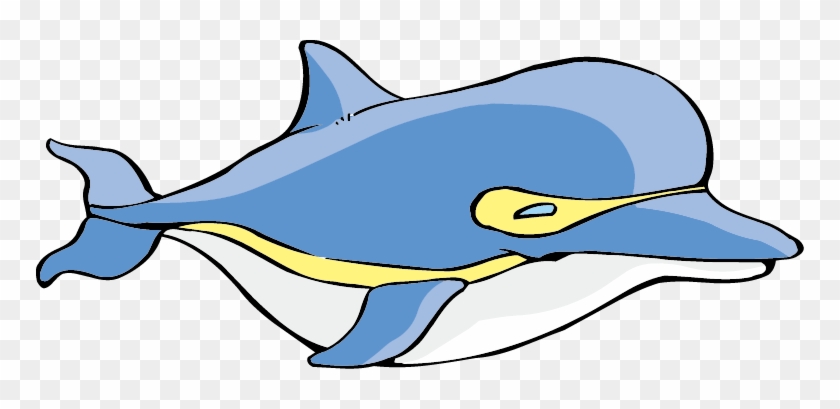 Common Bottlenose Dolphin Cartoon - Common Bottlenose Dolphin Cartoon #560582