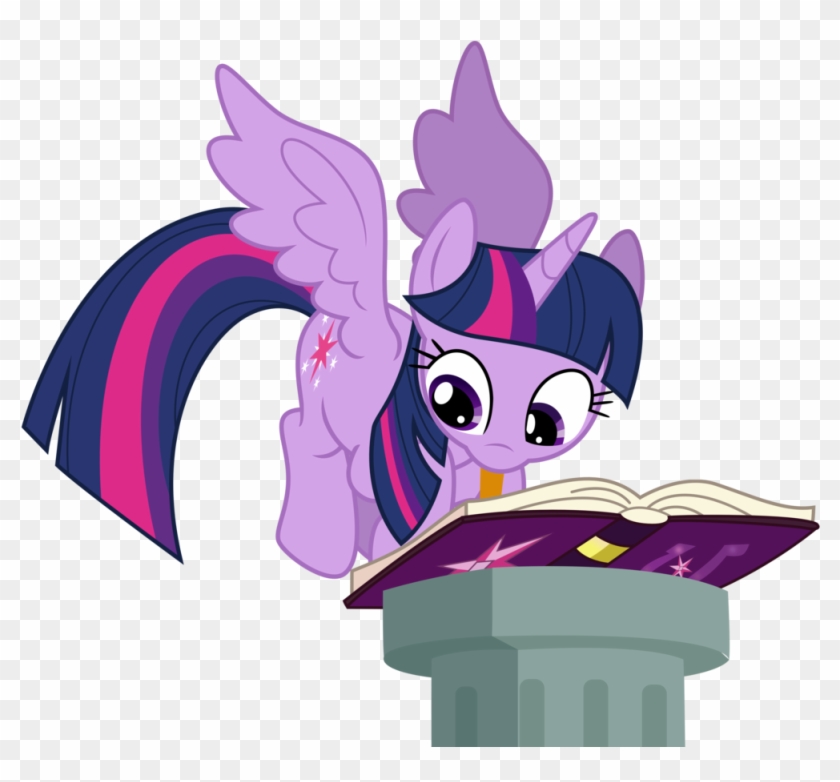 Books For The Book Horse By Theshadowstone - Book Horse #561234