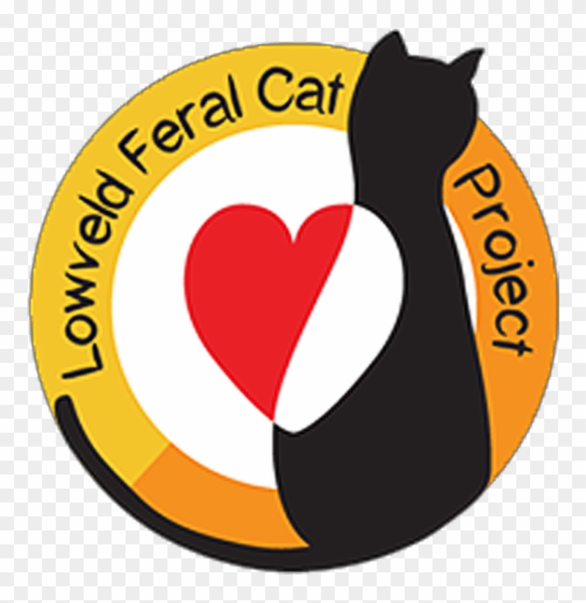 Feral Cat #561241