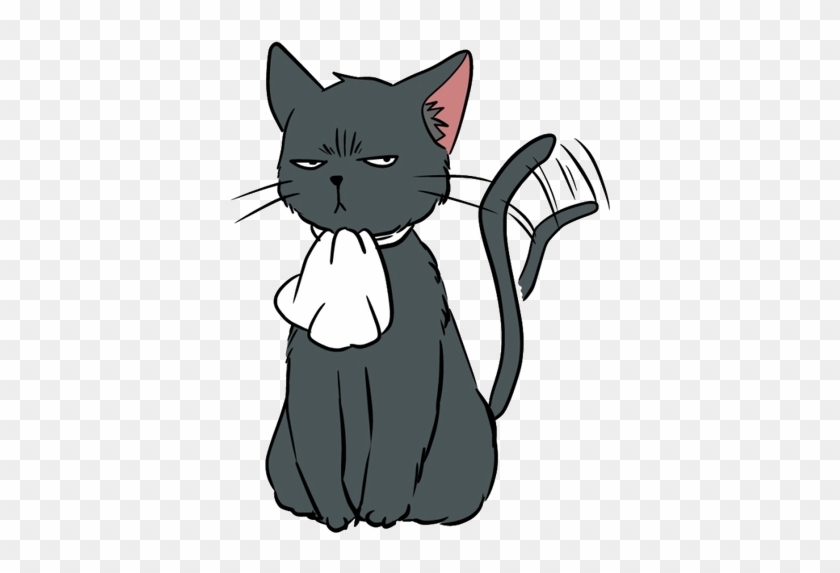Levi X Reader - Levi As A Cat #561387