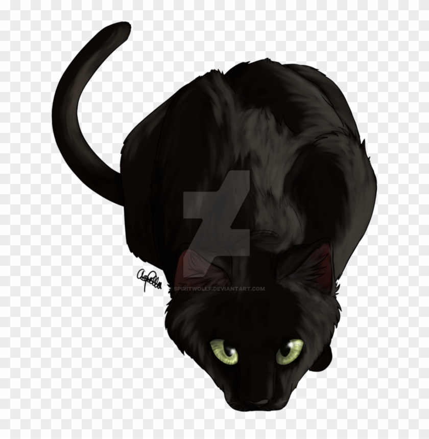 Cat Stalk By Spiritwollf - Black Cat #561392