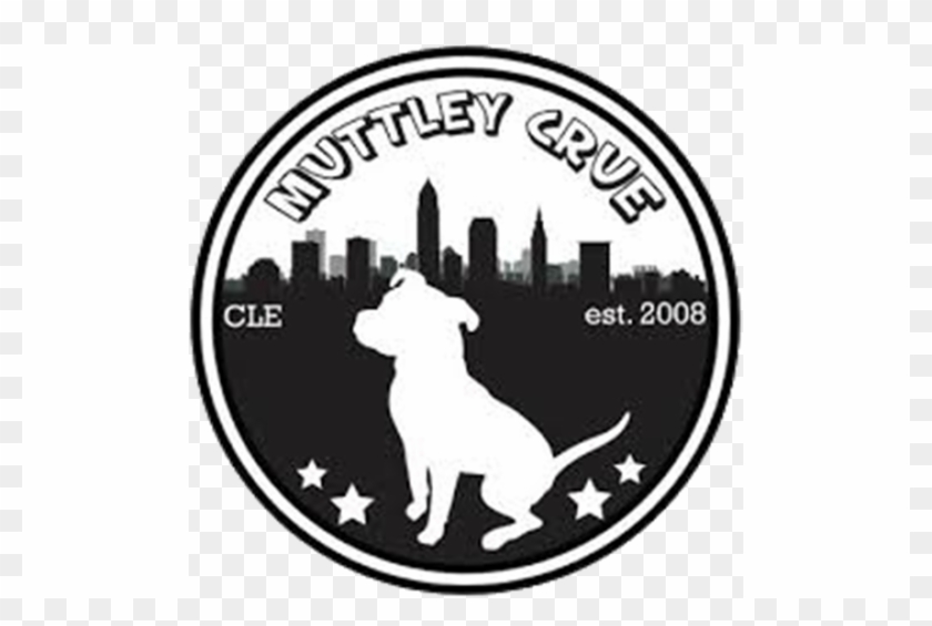 And More Importantly Help Muttley Crue Save Dogs In - Pit Bull #561575