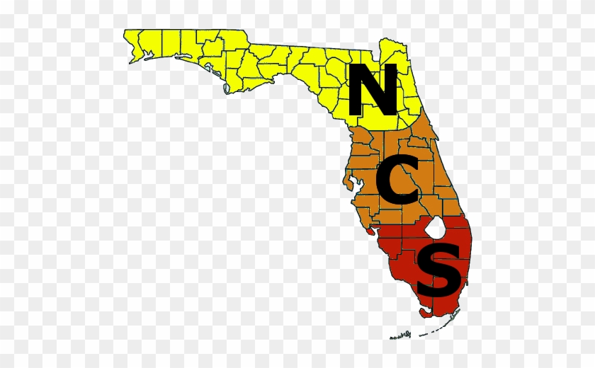 Florida N C S - Florida #561610