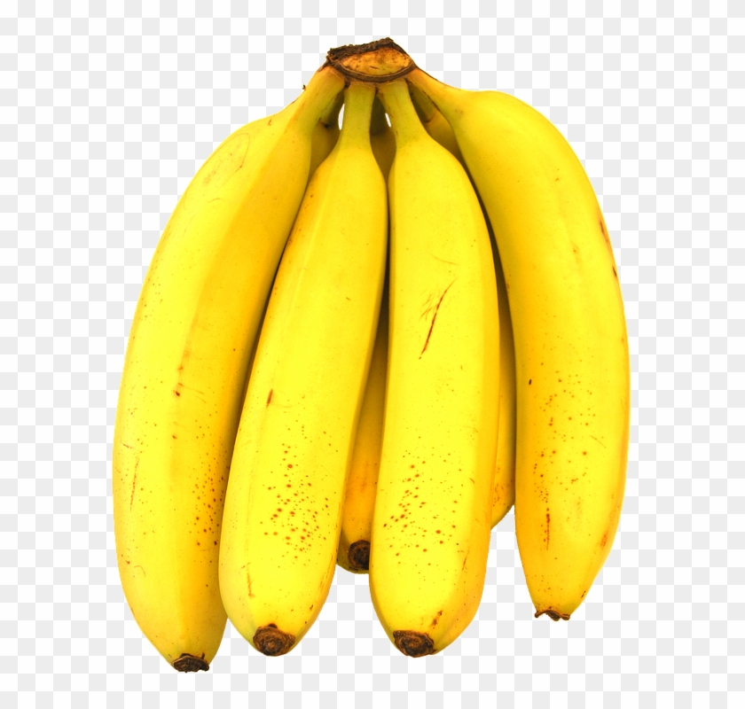 Buy Clip Art - Robusta Banana #561676