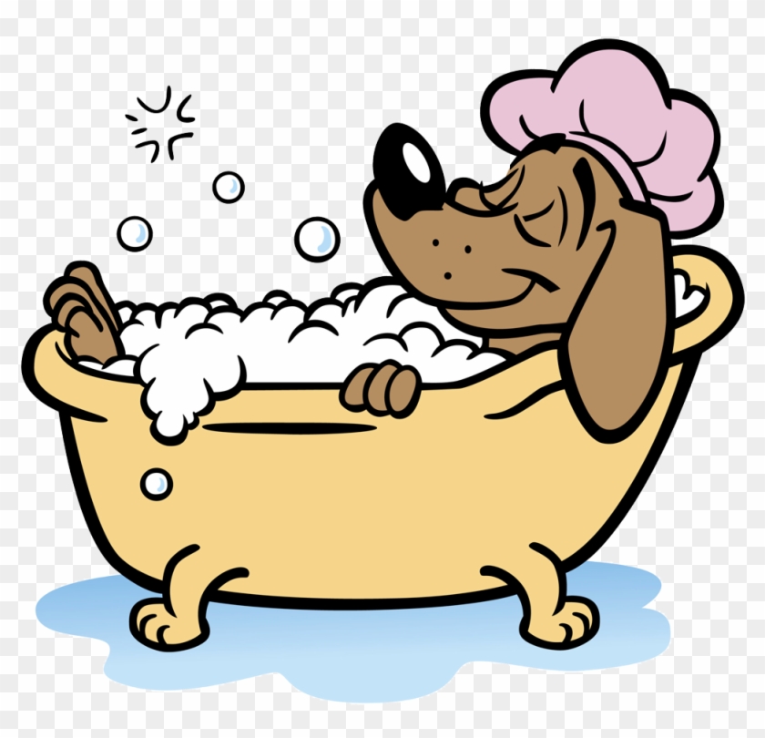 Animal Dog - Dog Taking A Bath #561923