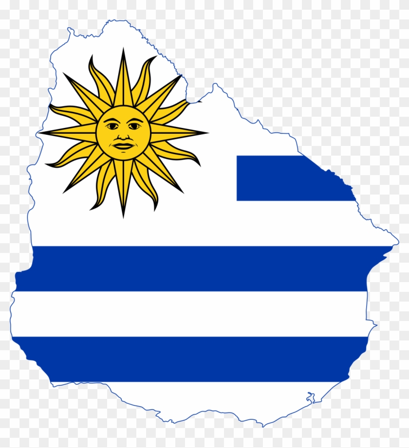 Flag Of Argentina Sun #563308