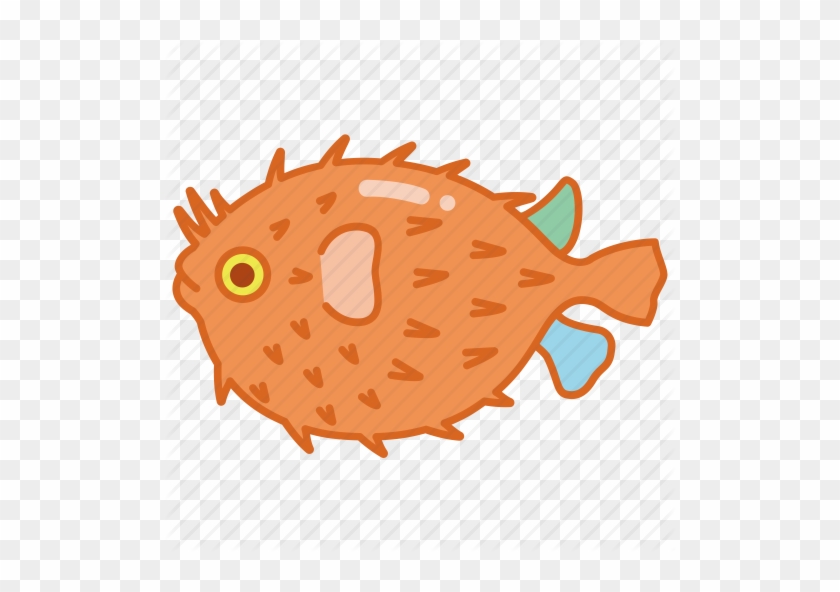 Aquarium, Blowfish, Fish, Puffer, Pufferfish, Tank, - Pufferfish #563654