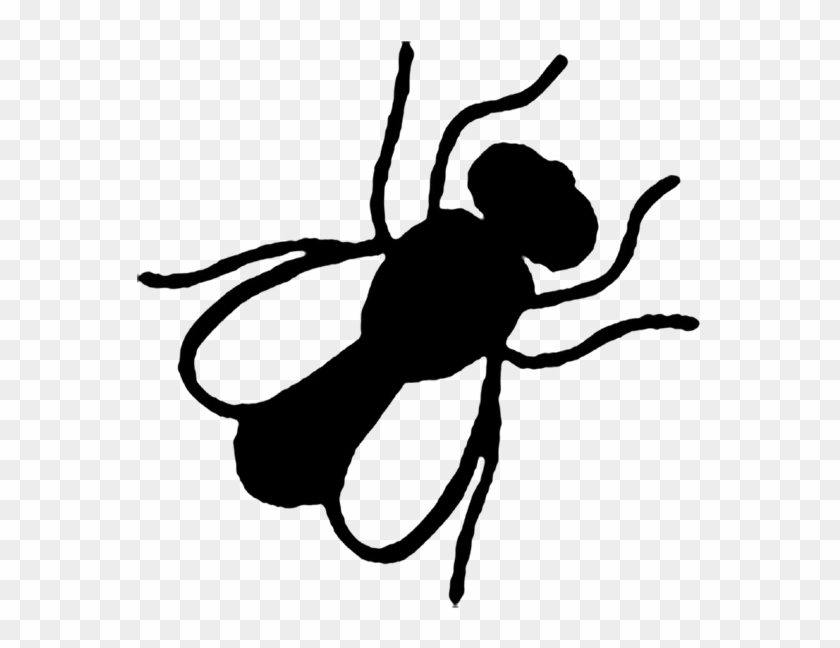 Fly On The Wall Images - Fly On The Wall Images #563940