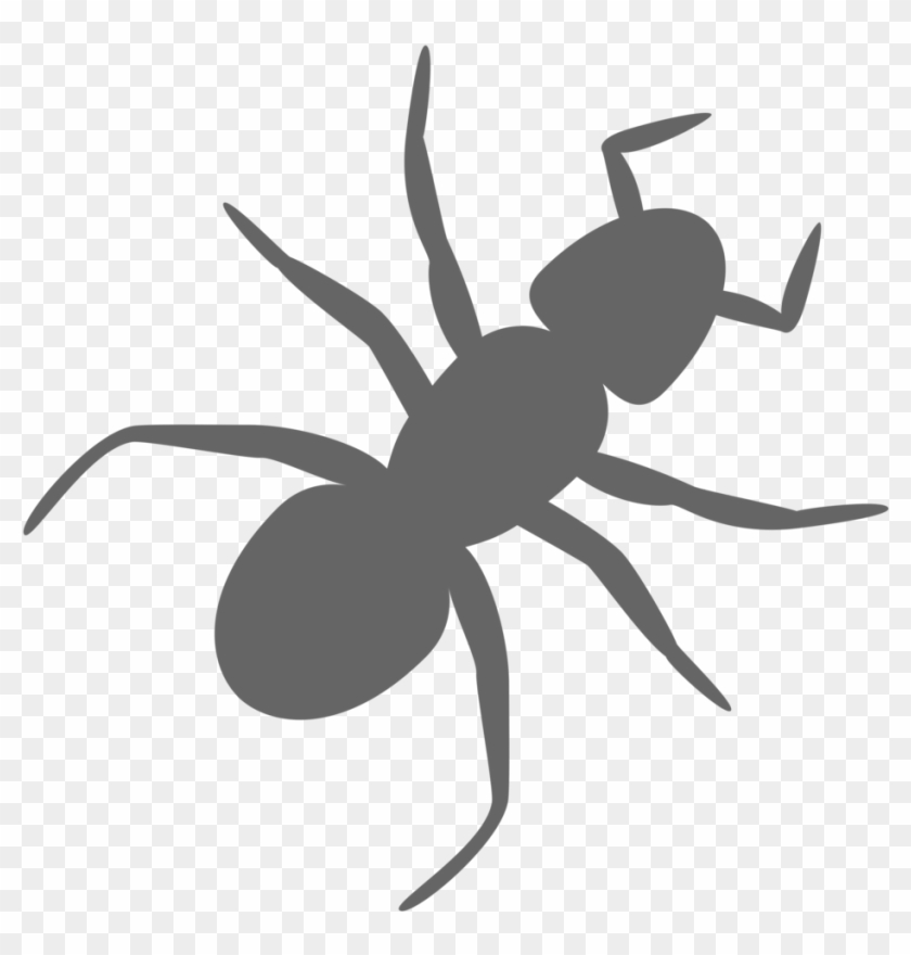 Ant Clip Art - Ant Clipart Transparent Background #563986
