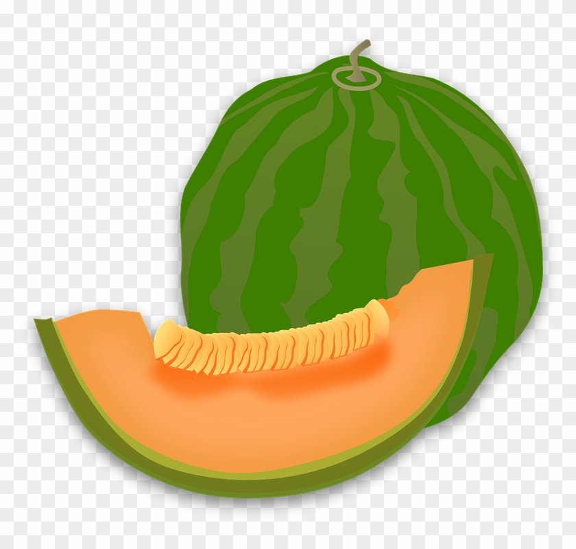 Cucumber Cliparts 9, - Melon Cartoon #564075