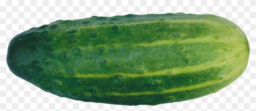 Cucumber Clipart Transparent - Cucumber With Transparent Background #564081