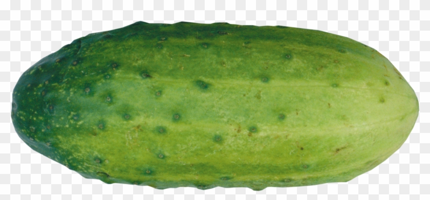 Cucumber Clipart Green - Огурец Png #564099