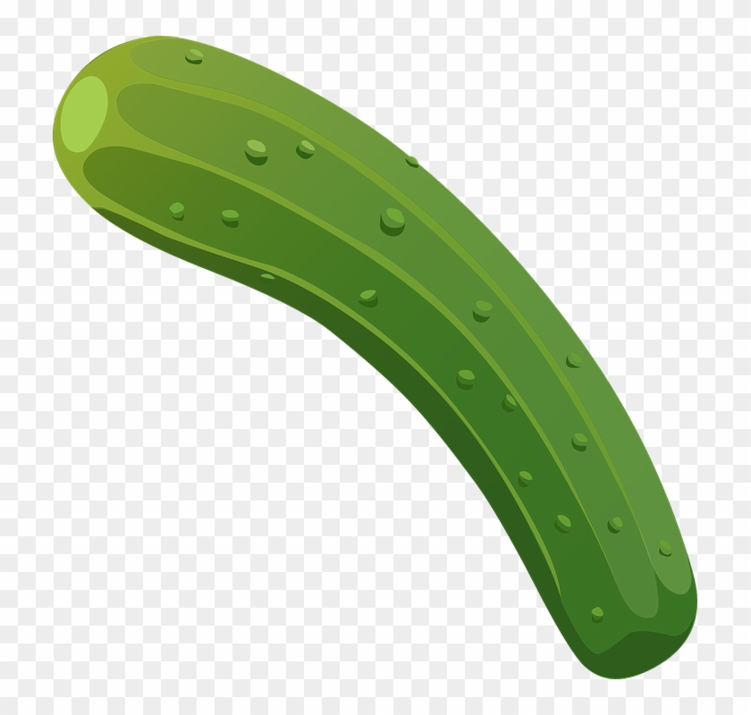 Cucumber Clipart Vegetable Food - Cucumber Vector Png #564102